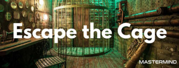 Escape The Cage