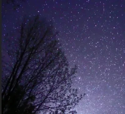 Nighttime Wagon Rides And Flashlight Corn Maze