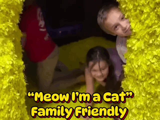 Meow! I'm a Cat.