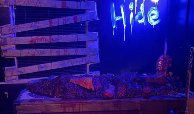 The Hide