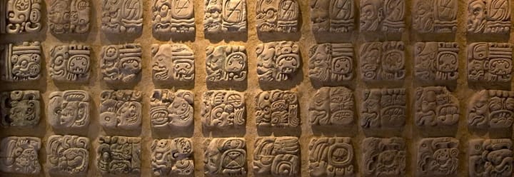 Main image for Sod Hacacao