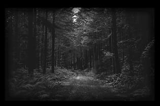 Main image for Akelarre