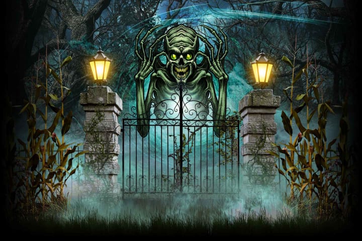 Main image for The 13th Realm