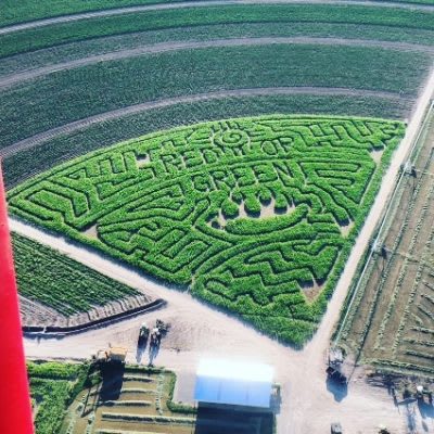 Main image for Graves Farm & Garden