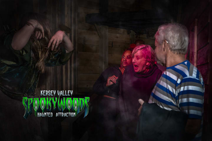 Main image for Spooky Woods