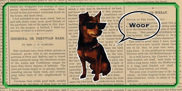 Main image for Total Escape