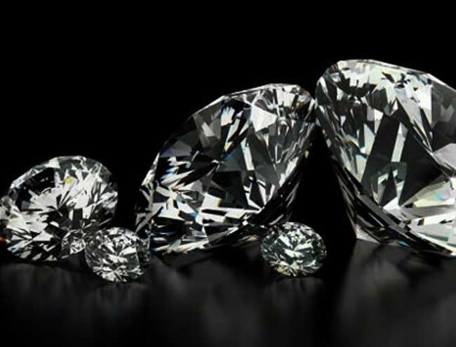 Main image for Fox in a Box Tijuana