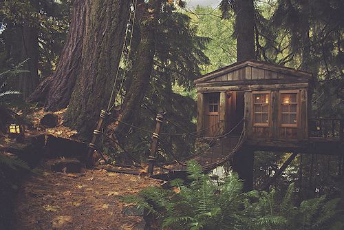 Main image for The Escape Room-Can You Get Out?