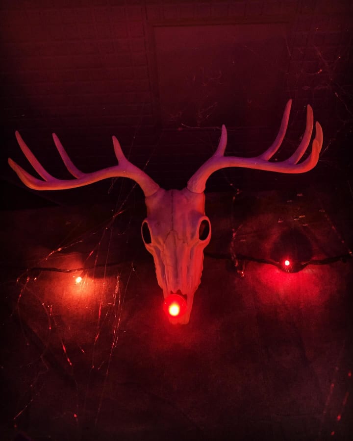 Main image for Spooky Acres Haunted House - MacArthur Center Mall