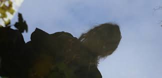 Main image for Les Énigmes De Vissery | 7bis : Escapez-Vous