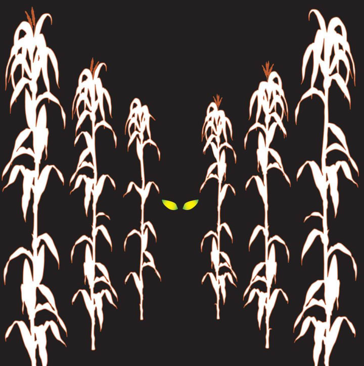 Main image for Hallows Hall