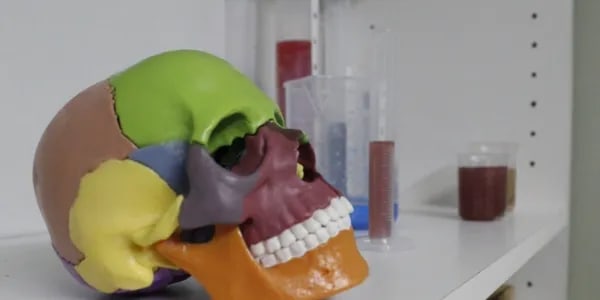 Main image for Vincennes Escape Adventures