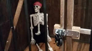 Main image for Escape Tybee