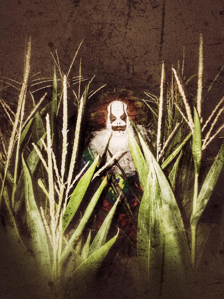 Main image for Sunshine Shelly's Nightmare Harvest