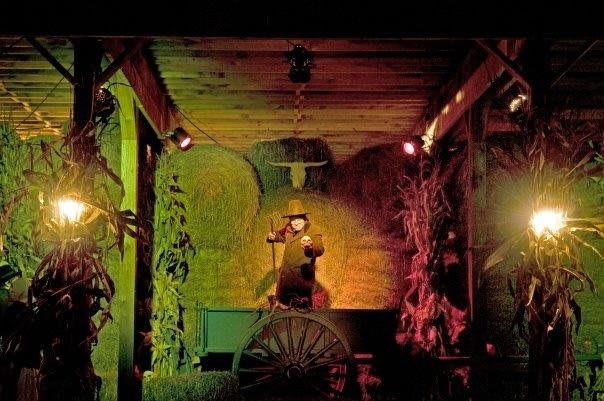 Main image for Harvest of Haunts