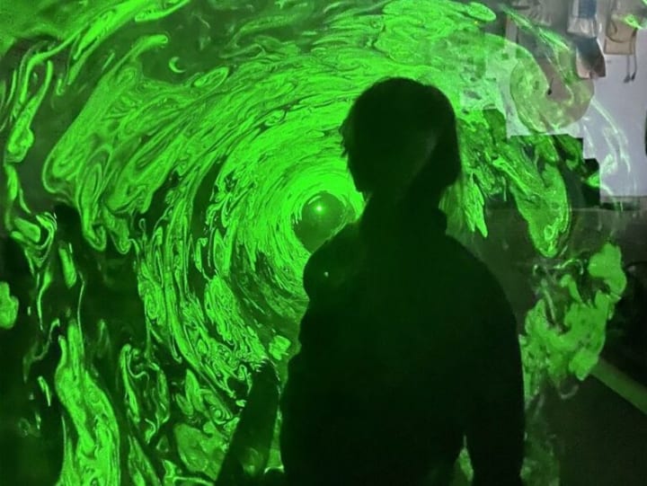 Main image for The Fog Bog