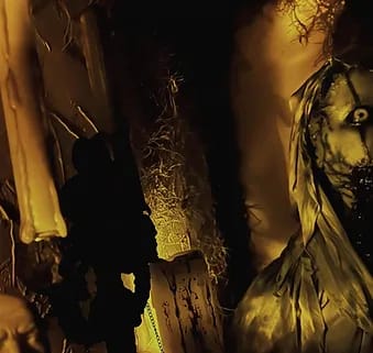 Main image for The Reaping