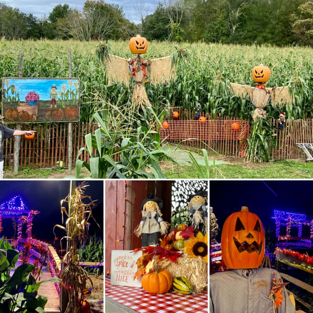 Main image for Wells Hollow Farm & Creamery Corn Maze