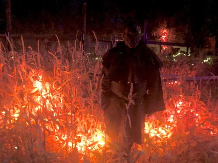 Main image for 32 Toquerville Road