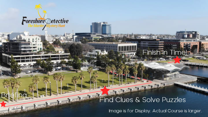 Main image for Foreshore Detective