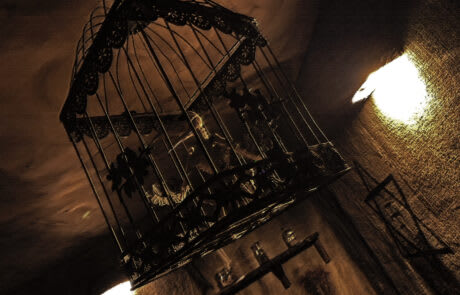 Main image for Escape If You Can - Live Escape Game La Roche-Sur-Yon