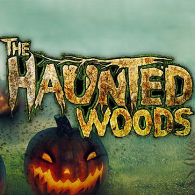 Main image for Haunted Woods