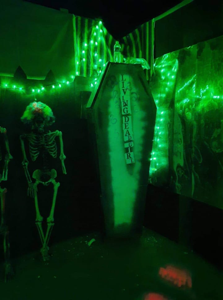 Main image for Carnival of Chaos