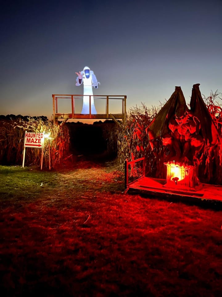 Main image for Slaughterhouse Adventure