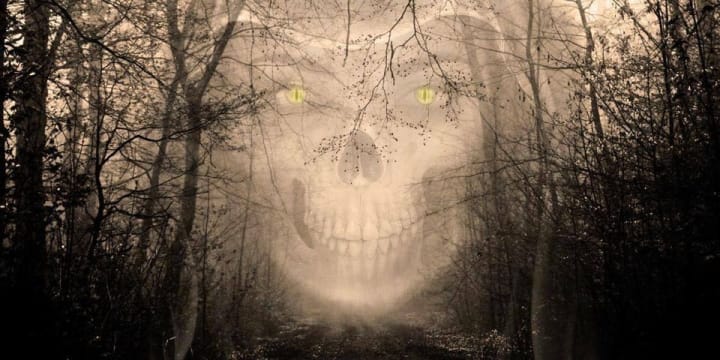 Main image for McClelland's Dairy Pumpkin Patch