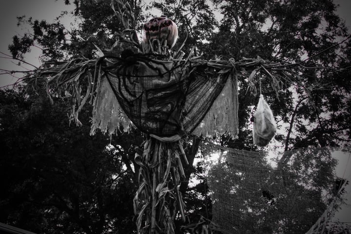 Main image for B&E Winery