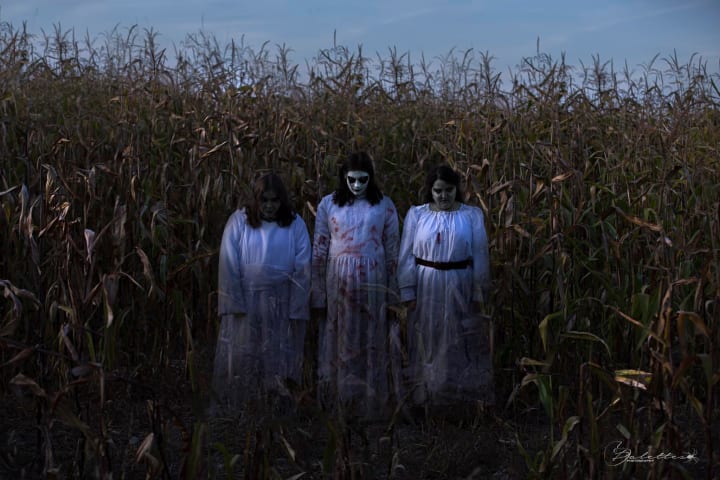 Main image for The Straw Maze Rexburg