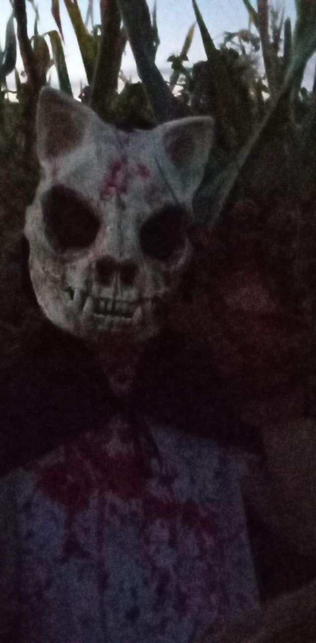 Main image for Ozark Nightmares Haunted House