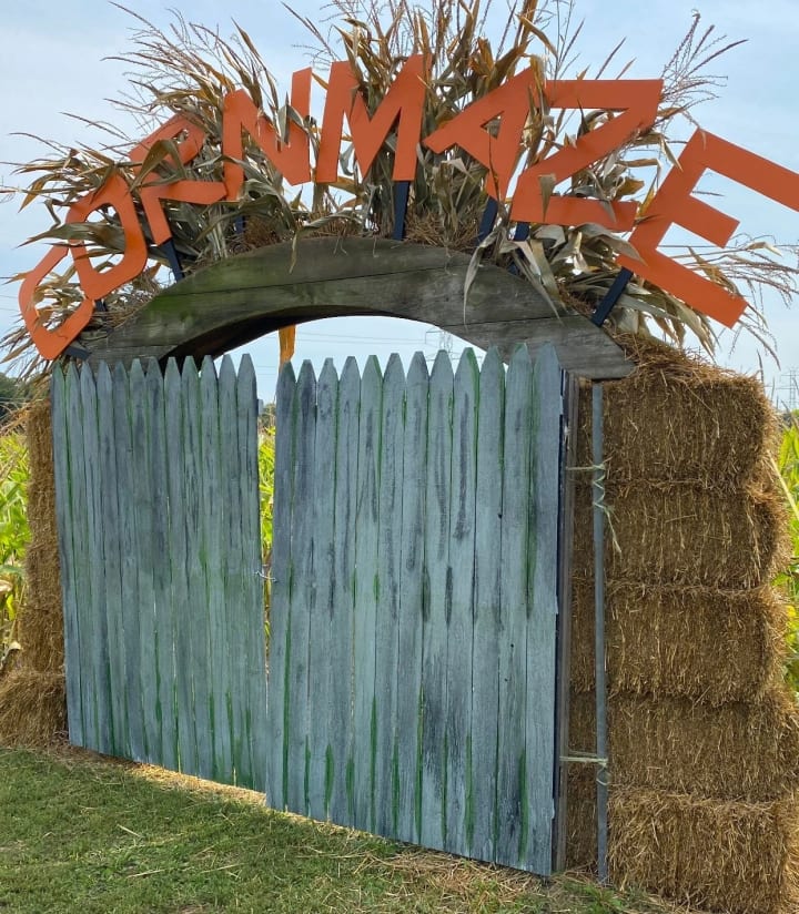 Main image for Critzer Farms