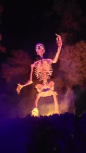 Main image for Skull and Bohm's Haunted Home