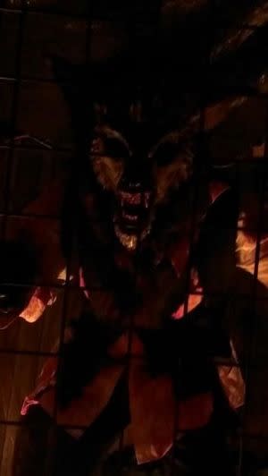 Main image for The Haunting of Corona