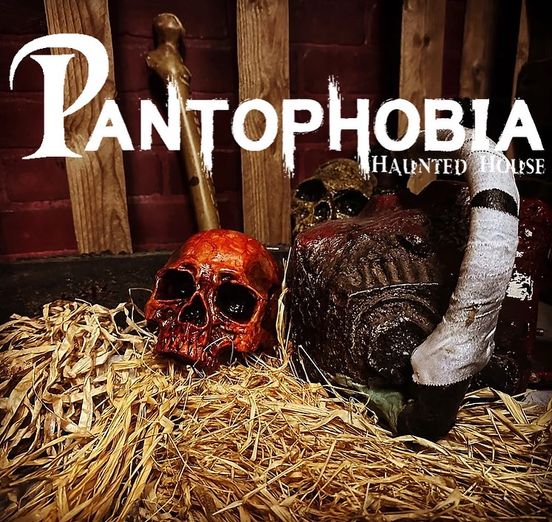 Main image for Pantophobia