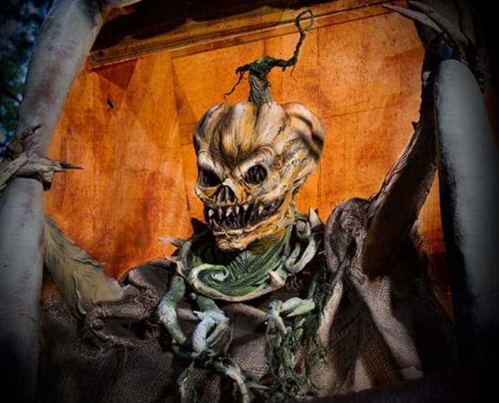 Main image for Night Terrors Haunted Farm