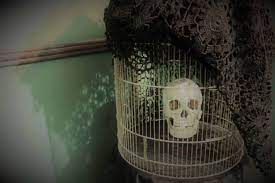 Main image for 5959 Escape Rooms