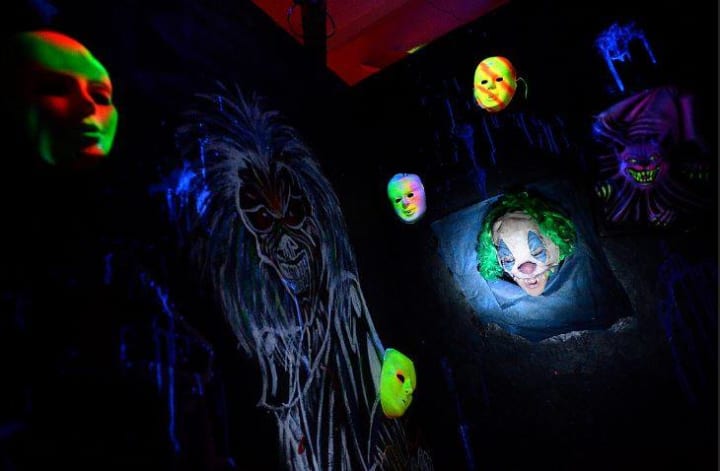 Main image for Find Your Light