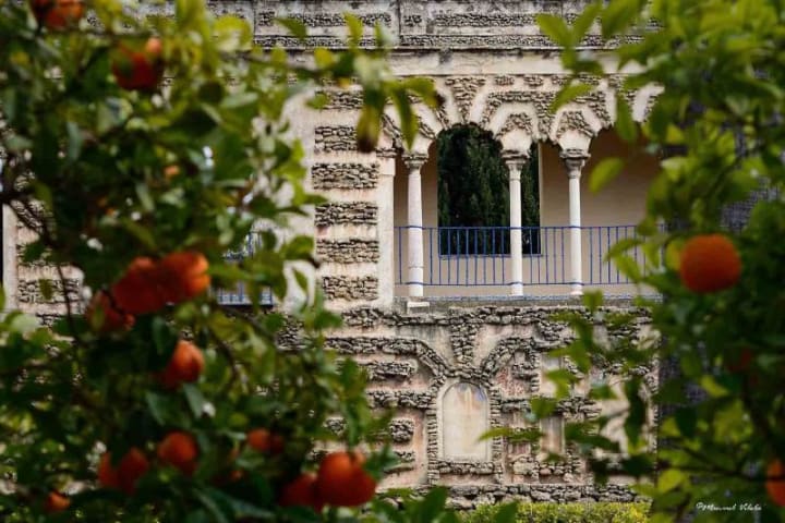 Main image for VisitEscape