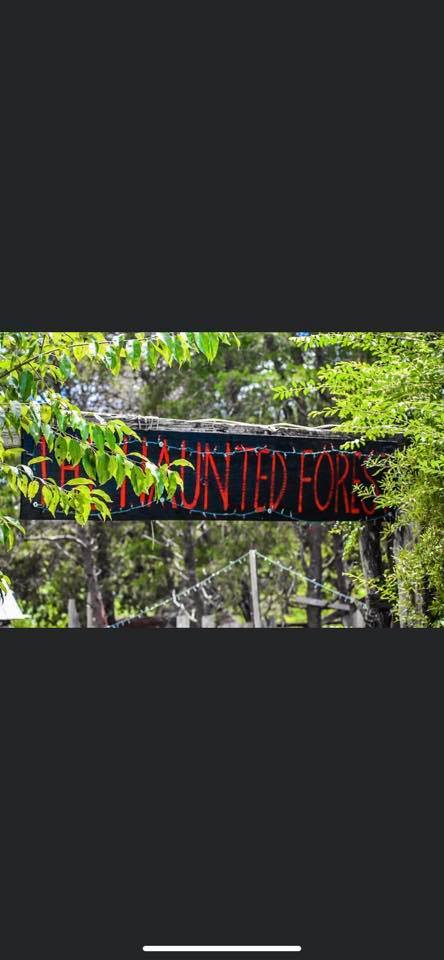 Main image for The Haunted Forest