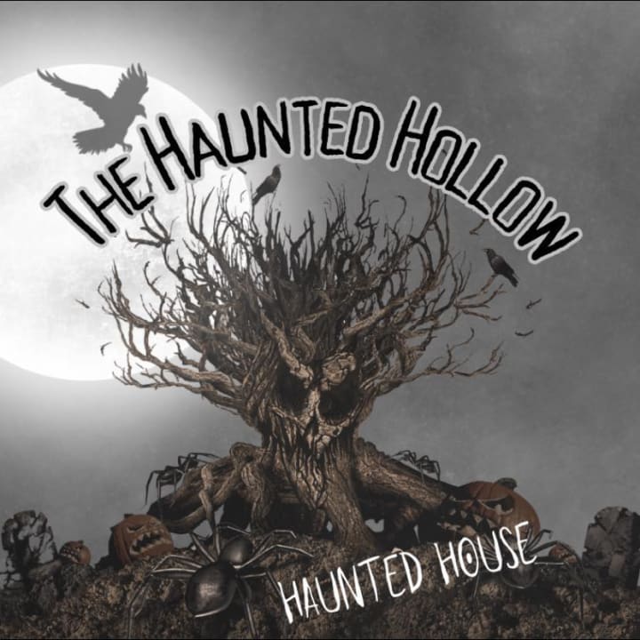 Main image for The Haunted Hollow Haunted House