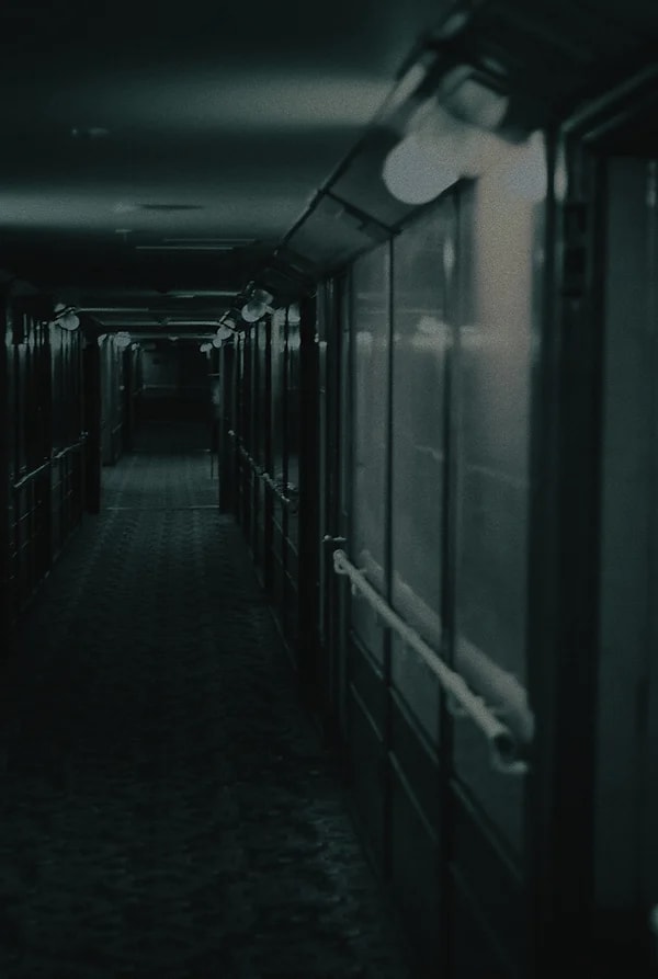 Main image for The Grey Ghost Project