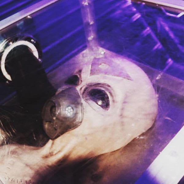 Main image for Liberty Escape Rooms - 8th St.