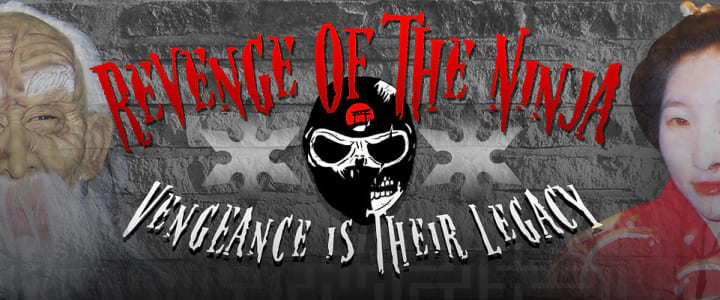 Main image for Revenge of the Ninja Maze