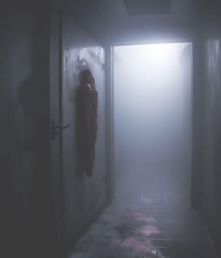 Main image for Elite Escape Games