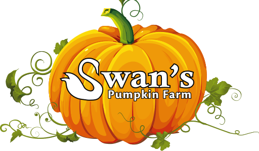 Main image for Swan's Pumpkin Farm