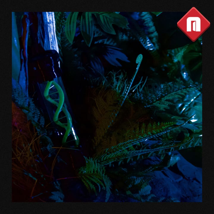 Main image for HouseTrap - Payerne