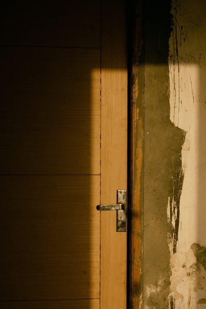 Main image for Into the Enigma