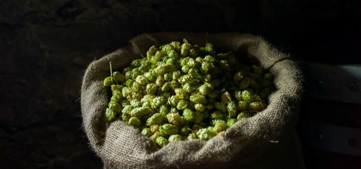 Main image for Brauwelt Escape Room